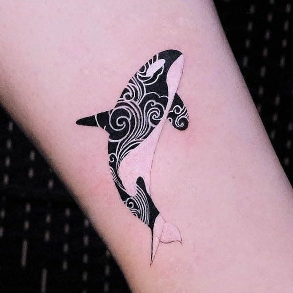 0fc046a0b68e2e81187869b8b7e431e8