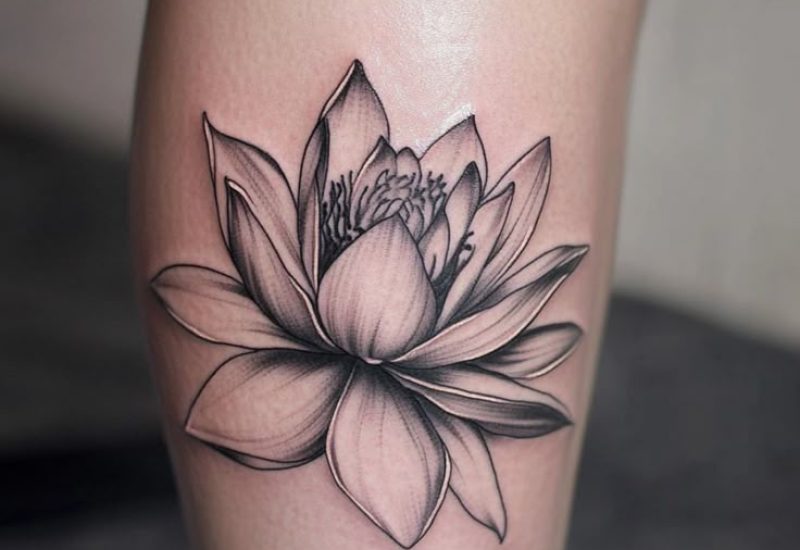 lotus tatouage