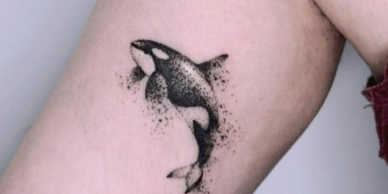 orca tattoo