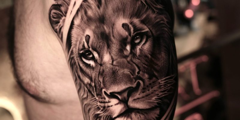 tatouage lion realiste